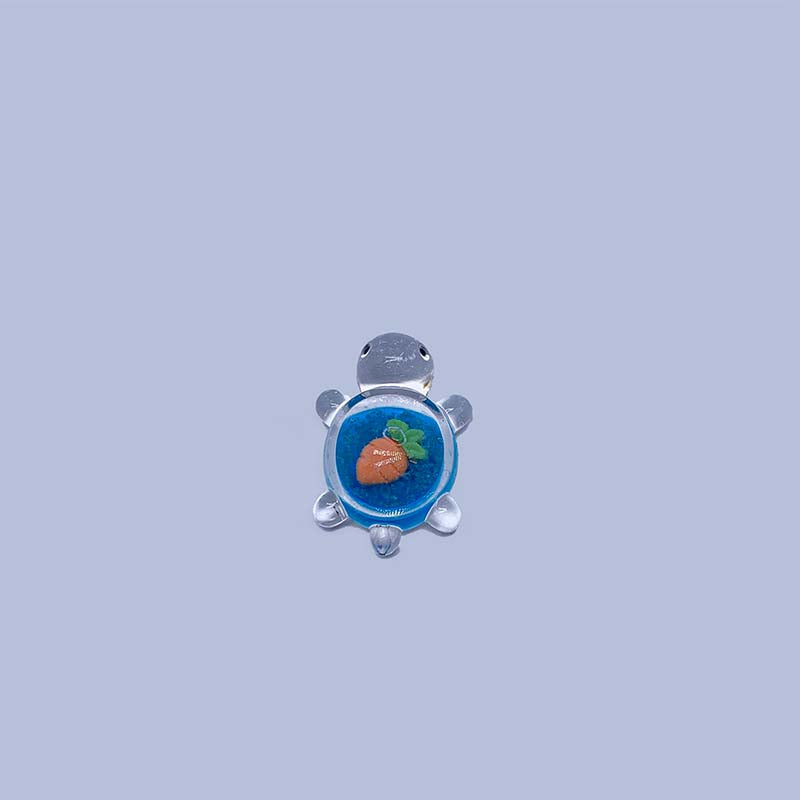 【A009】Luminous Fruit Turtle III-Blind Bag Series